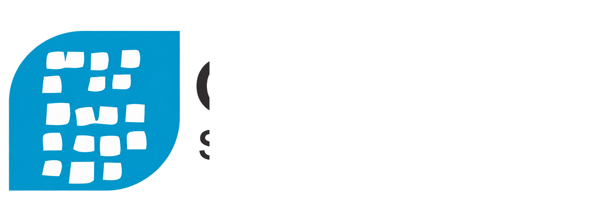 Qelvarin Systems